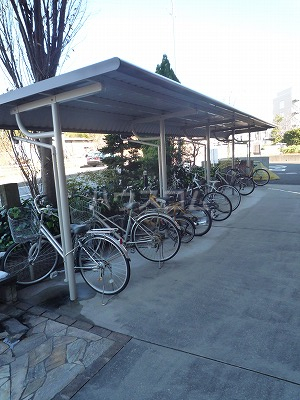 20/30 その他画像