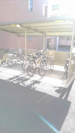 14/21 その他画像