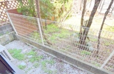 13/22 その他画像