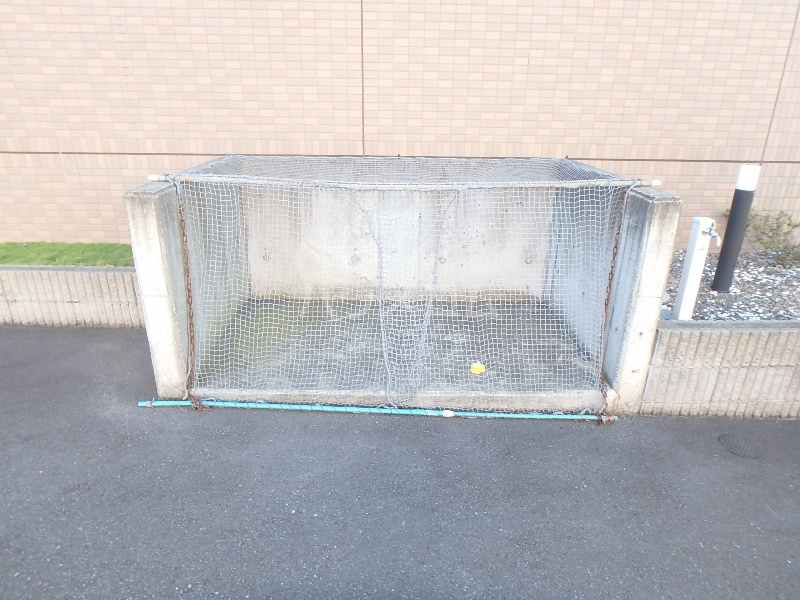 13/24 その他画像