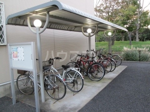 11/20 その他画像