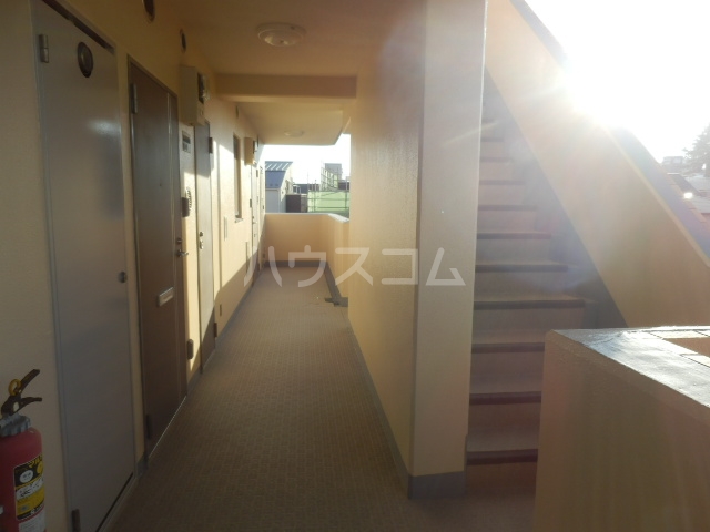 17/29 その他画像