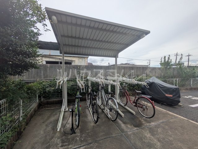 20/30 その他画像