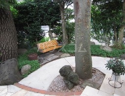 19/29 その他画像