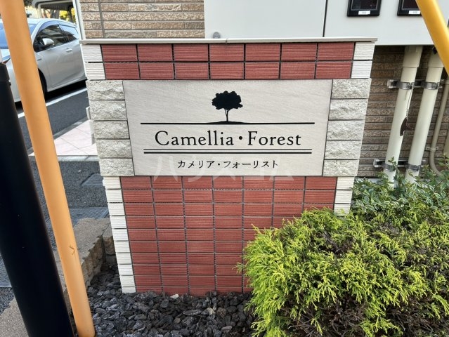 20/29 その他画像