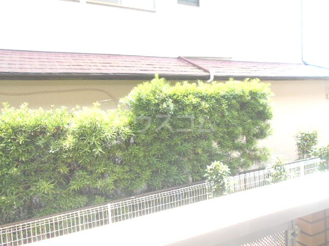 19/26 その他画像