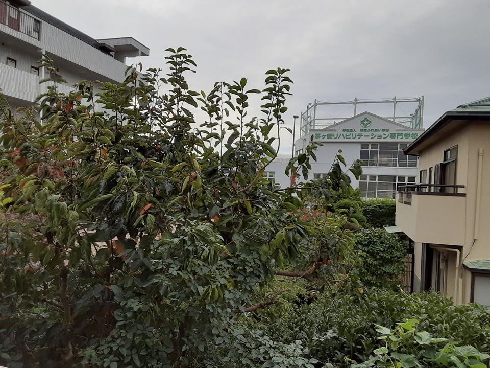 22/30 バルコニー