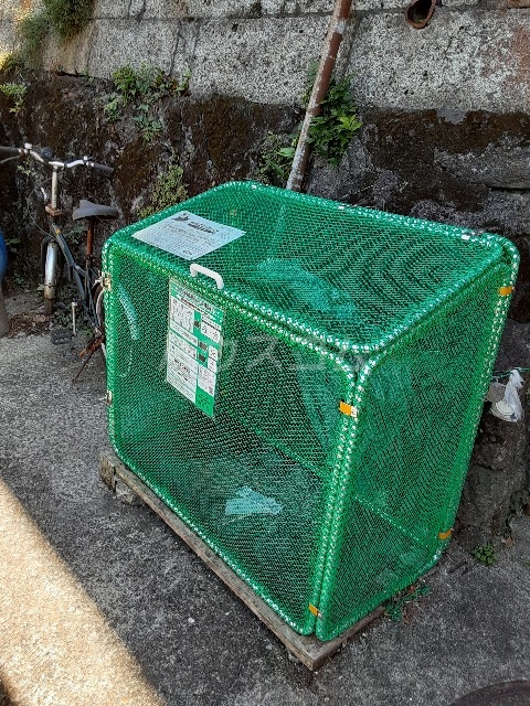 15/26 その他画像