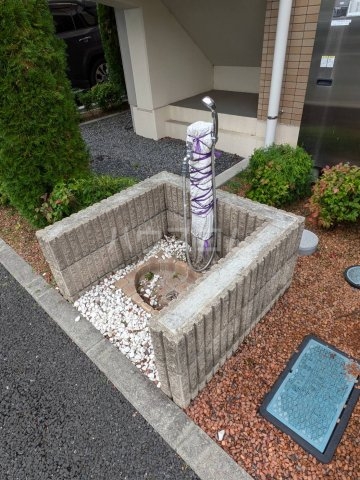 20/30 その他画像