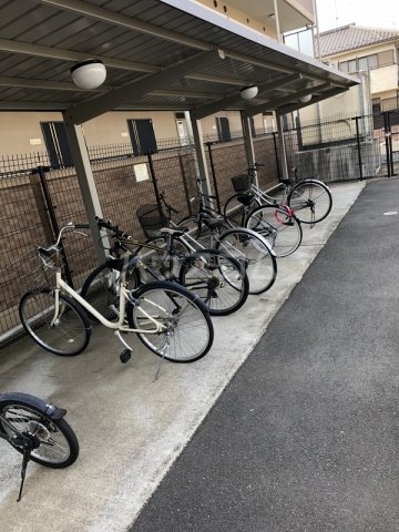 11/16 その他画像