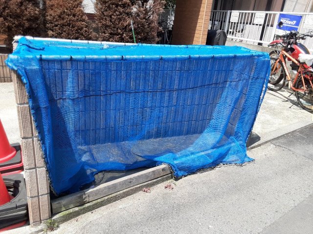 20/30 その他画像