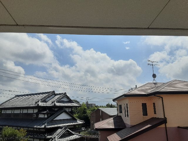 25/30 その他画像
