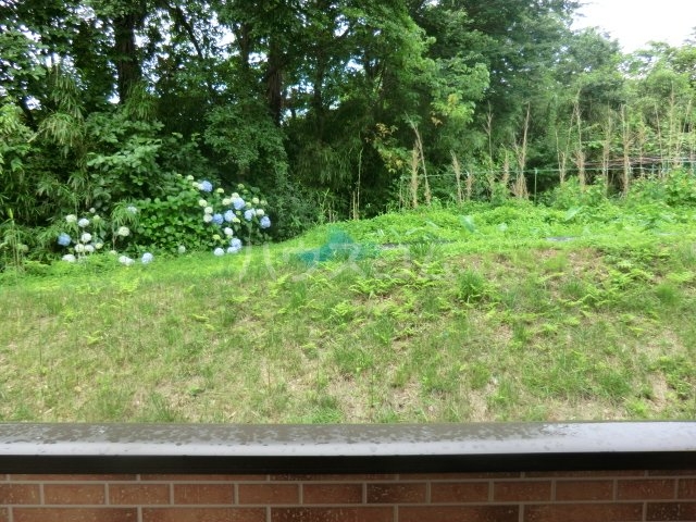 14/25 その他画像