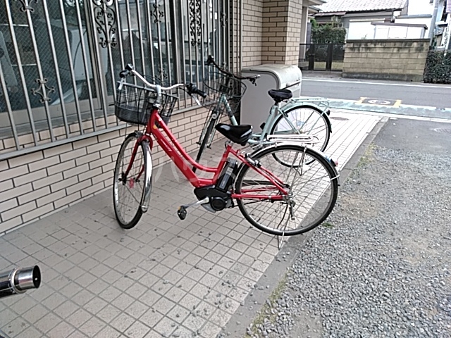 20/30 その他画像