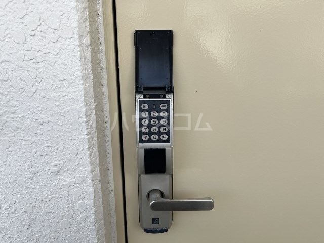 25/30 その他画像