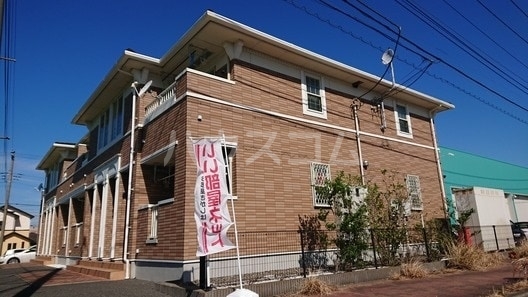 プラシードの外観