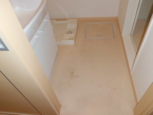 13/19 その他画像