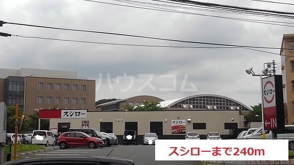 5/24 室内