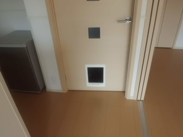 21/28 その他画像