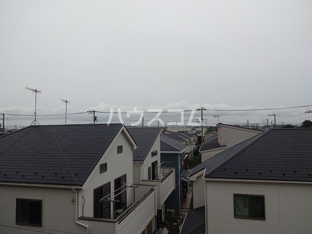 20/30 その他画像