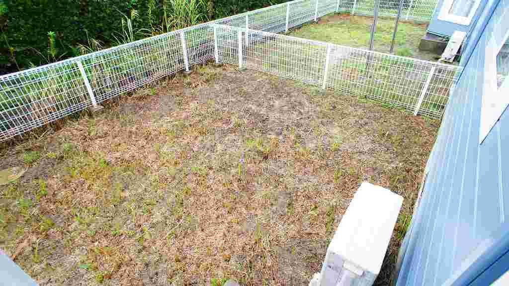 12/21 その他画像