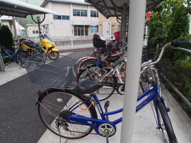 20/30 その他画像