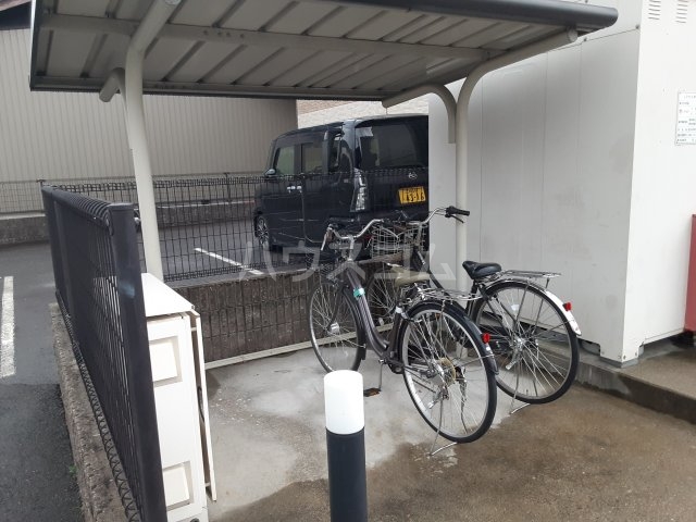 19/26 その他画像