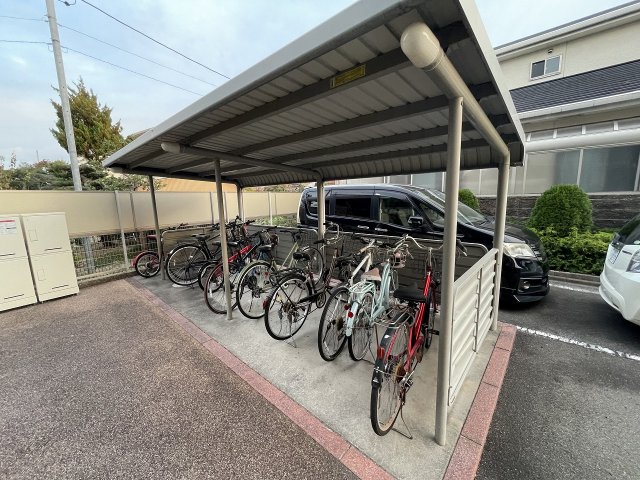 20/30 その他画像