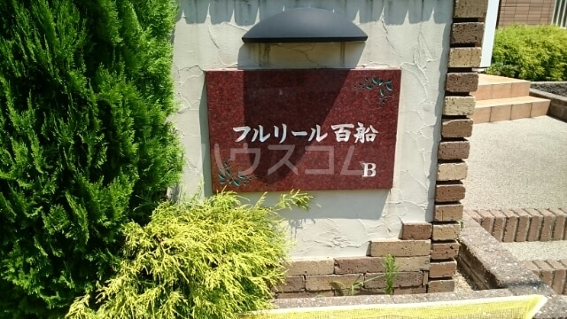 17/25 その他画像