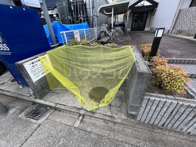 20/30 その他画像