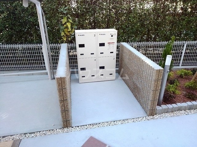 20/30 その他画像