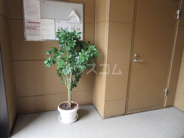 17/30 その他画像