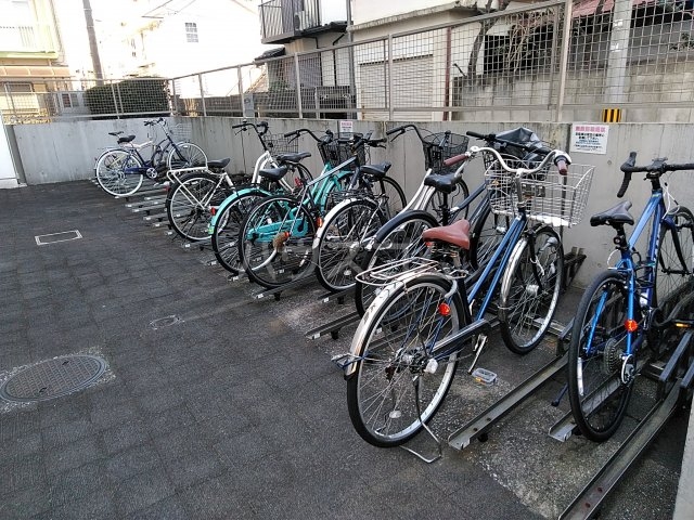 20/30 その他画像