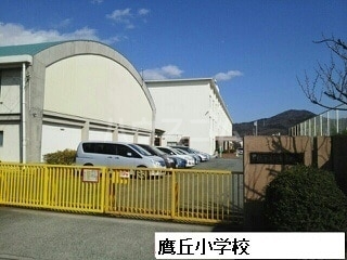 4/17 周辺