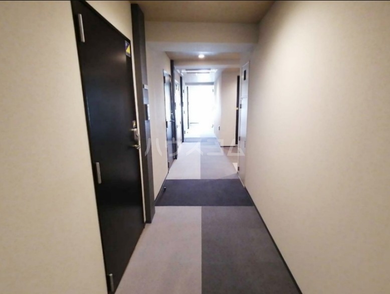 6/11 その他画像