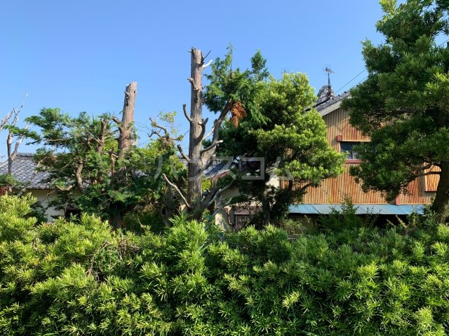 12/20 その他画像