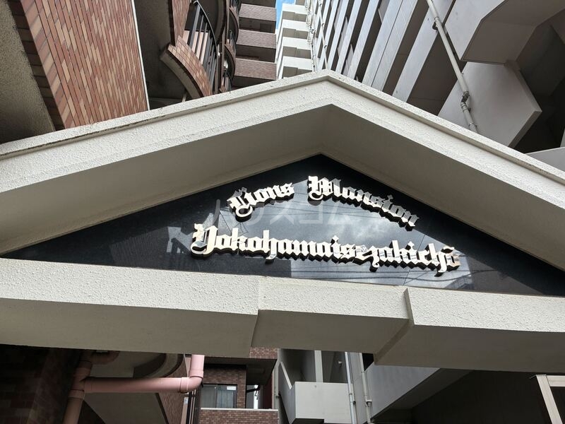 8/20 その他画像