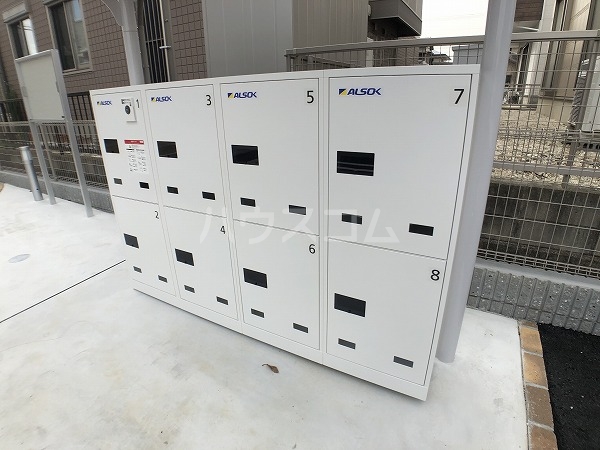 20/30 その他画像