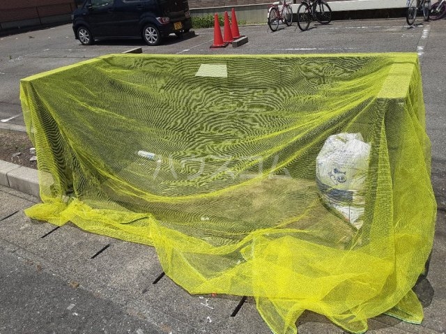 20/30 その他画像