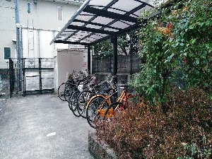 15/29 その他画像