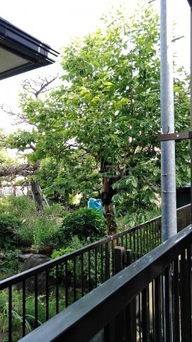 16/25 その他画像