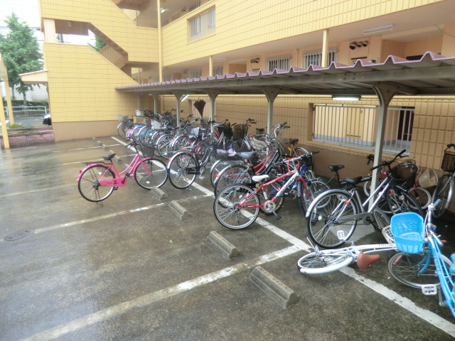 20/30 その他画像