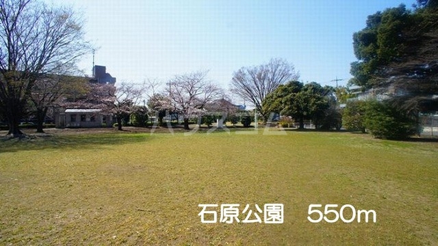 20/30 周辺