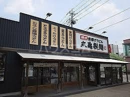 5/17 周辺