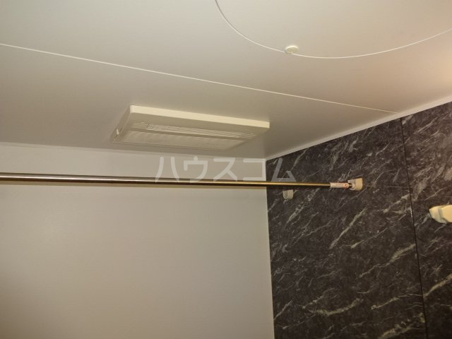 21/24 その他画像