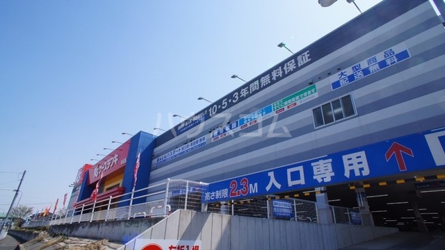 5/17 周辺