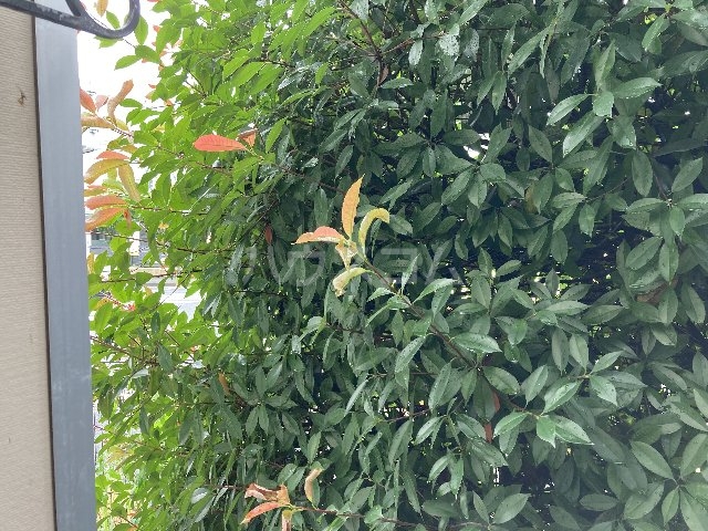 13/30 その他画像