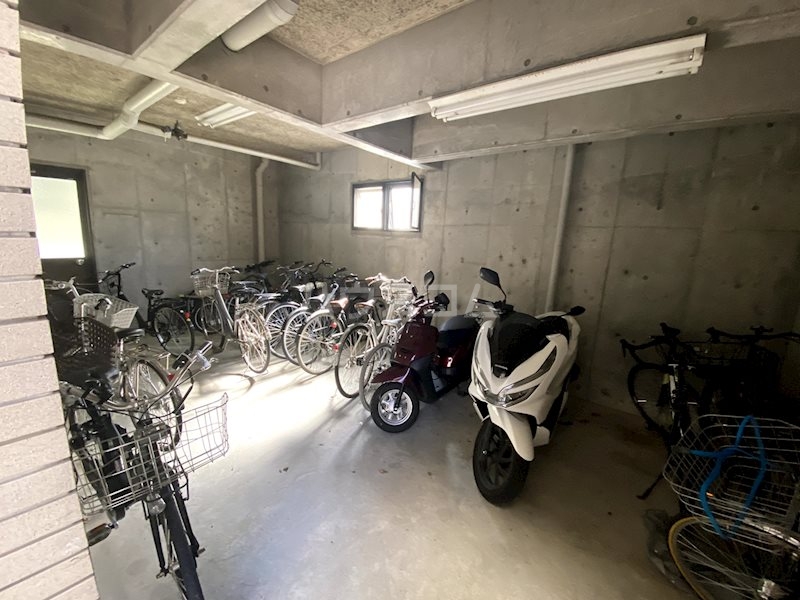 17/25 その他画像