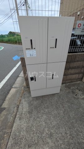 25/30 その他画像