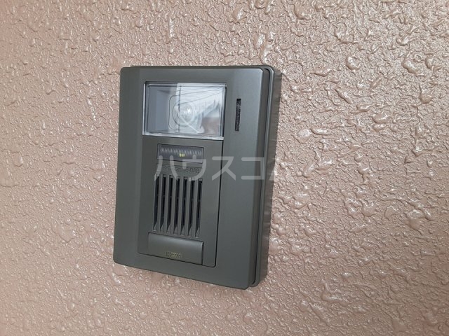 15/29 その他画像